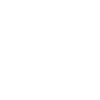 Plane icon